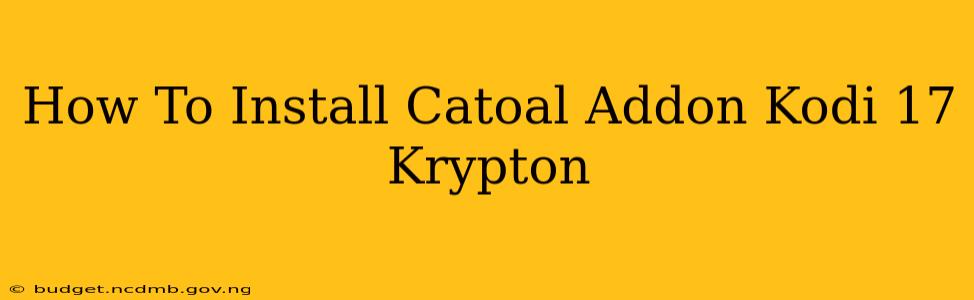 How To Install Catoal Addon Kodi 17 Krypton