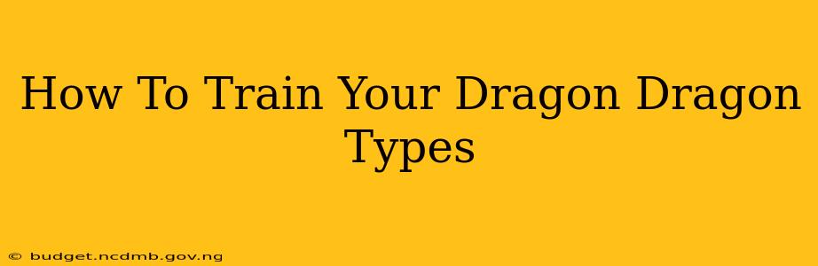 How To Train Your Dragon Dragon Types