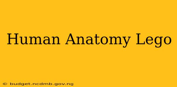 Human Anatomy Lego