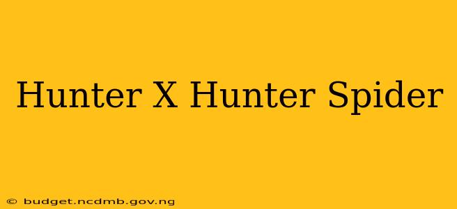 Hunter X Hunter Spider