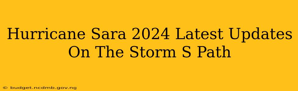 Hurricane Sara 2024 Latest Updates On The Storm S Path