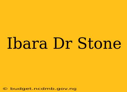 Ibara Dr Stone