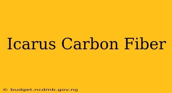 Icarus Carbon Fiber
