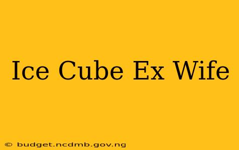 Ice Cube Ex Wife