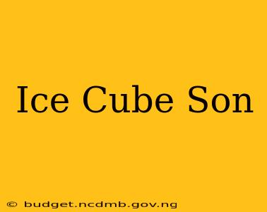 Ice Cube Son
