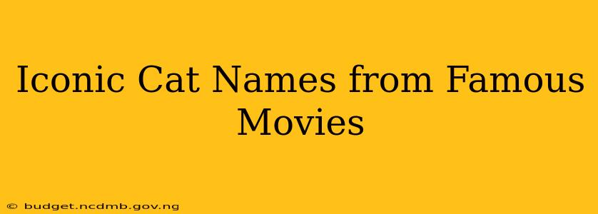 Iconic Cat Names from Famous Movies