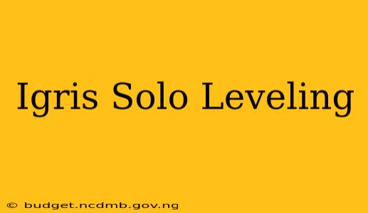 Igris Solo Leveling