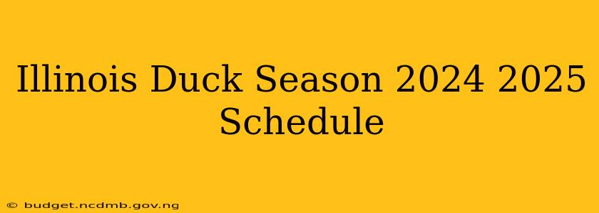 Illinois Duck Season 2024 2025 Schedule