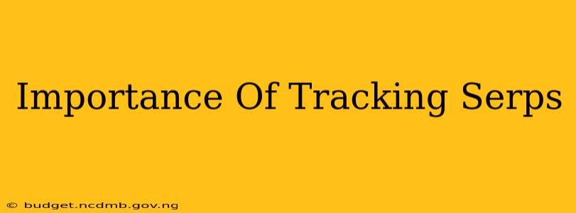 Importance Of Tracking Serps
