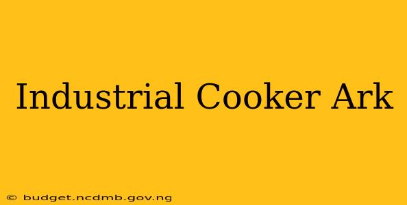 Industrial Cooker Ark