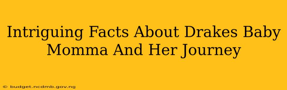 Intriguing Facts About Drakes Baby Momma And Her Journey