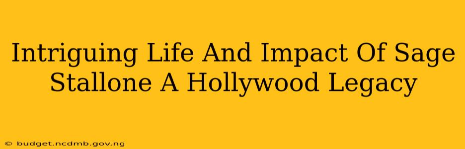 Intriguing Life And Impact Of Sage Stallone A Hollywood Legacy
