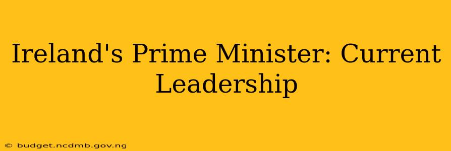 Ireland's Prime Minister: Current Leadership