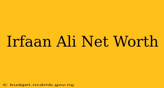 Irfaan Ali Net Worth