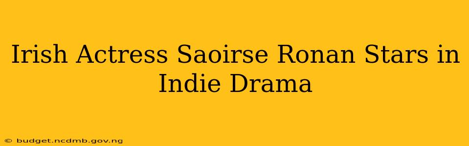 Irish Actress Saoirse Ronan Stars in Indie Drama