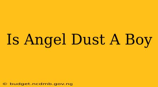 Is Angel Dust A Boy