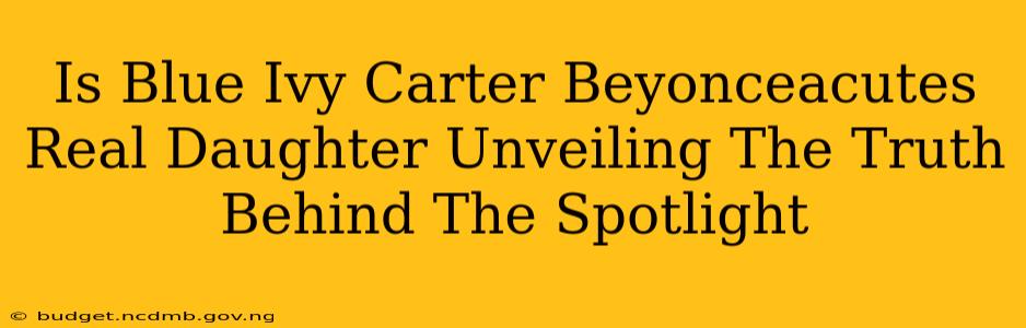 Is Blue Ivy Carter Beyonceacutes Real Daughter Unveiling The Truth Behind The Spotlight