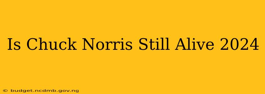 Is Chuck Norris Still Alive 2024