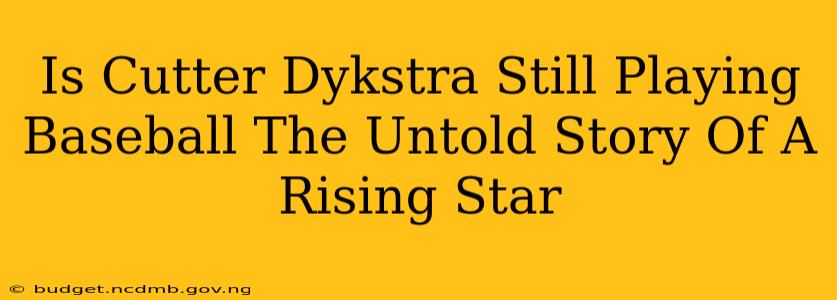 Is Cutter Dykstra Still Playing Baseball The Untold Story Of A Rising Star