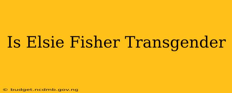 Is Elsie Fisher Transgender