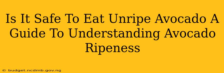 Is It Safe To Eat Unripe Avocado A Guide To Understanding Avocado Ripeness