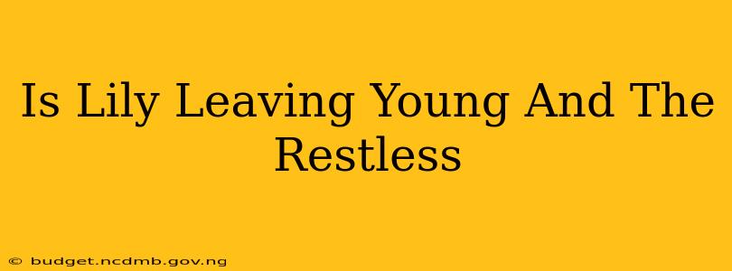 Is Lily Leaving Young And The Restless