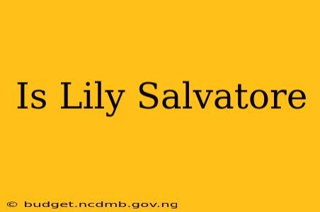 Is Lily Salvatore