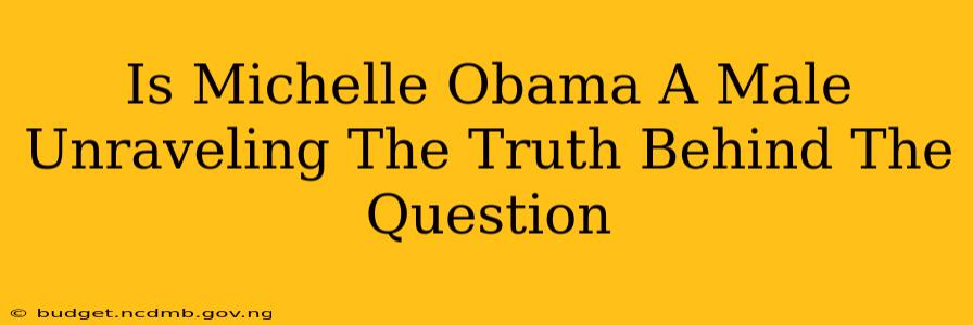 Is Michelle Obama A Male Unraveling The Truth Behind The Question