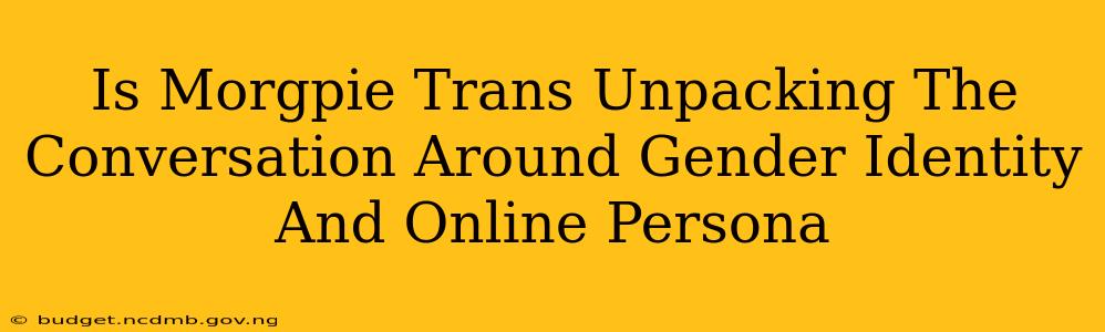 Is Morgpie Trans Unpacking The Conversation Around Gender Identity And Online Persona