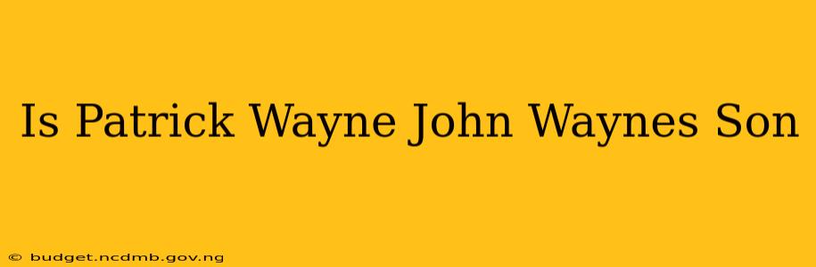 Is Patrick Wayne John Waynes Son