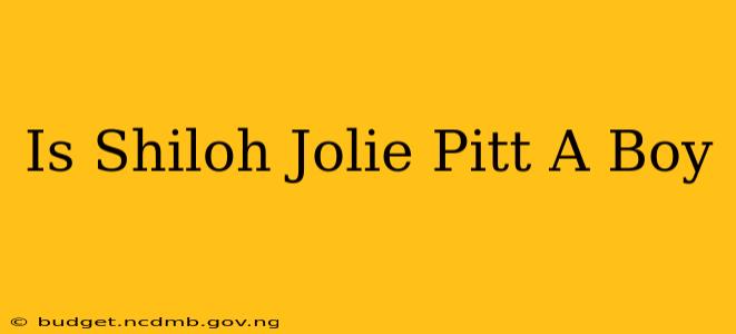 Is Shiloh Jolie Pitt A Boy