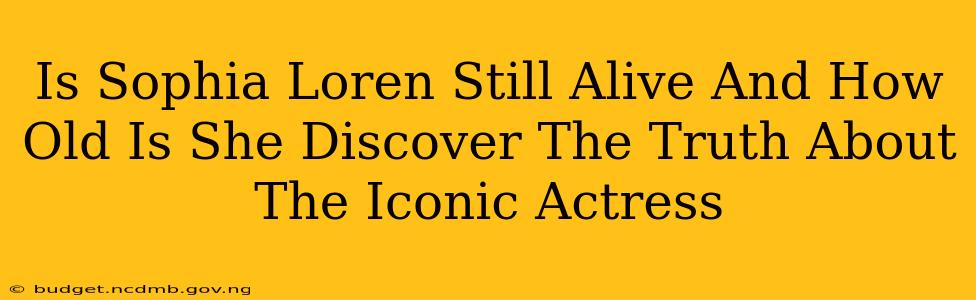 Is Sophia Loren Still Alive And How Old Is She Discover The Truth About The Iconic Actress