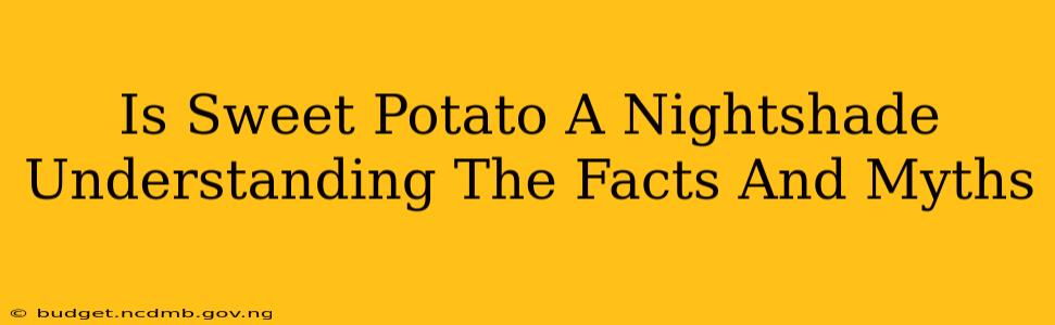 Is Sweet Potato A Nightshade Understanding The Facts And Myths