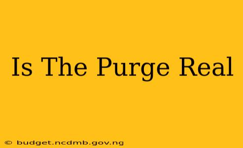 Is The Purge Real