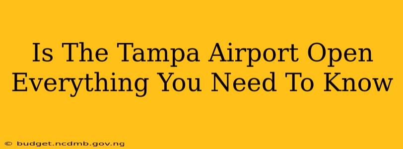 Is The Tampa Airport Open Everything You Need To Know