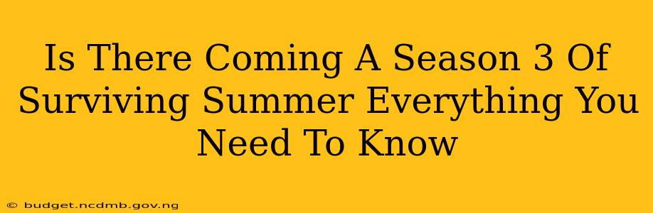 Is There Coming A Season 3 Of Surviving Summer Everything You Need To Know