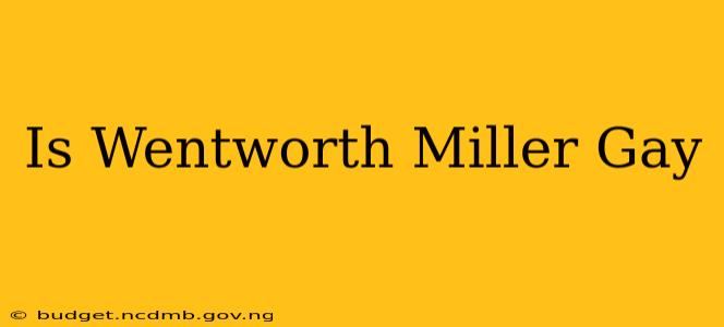 Is Wentworth Miller Gay