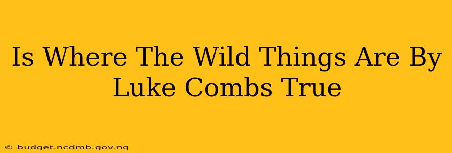 Is Where The Wild Things Are By Luke Combs True