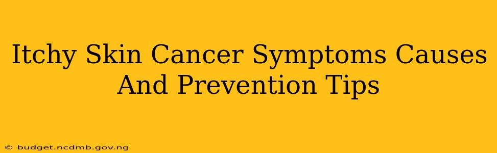 Itchy Skin Cancer Symptoms Causes And Prevention Tips