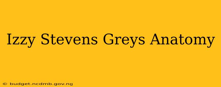 Izzy Stevens Greys Anatomy