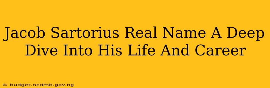 Jacob Sartorius Real Name A Deep Dive Into His Life And Career