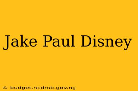 Jake Paul Disney