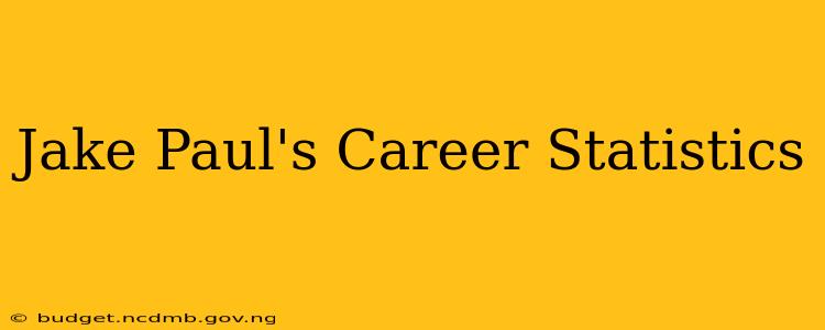 Jake Paul's Career Statistics
