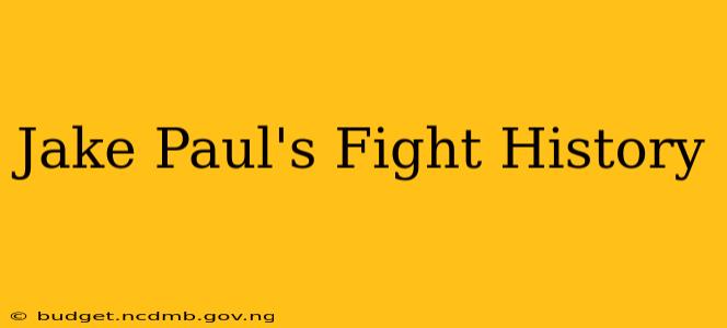 Jake Paul's Fight History