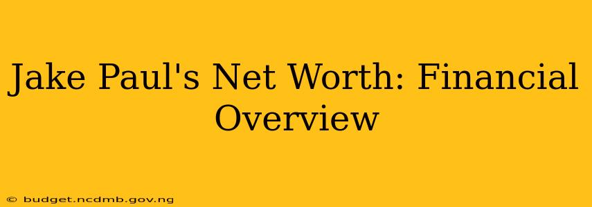 Jake Paul's Net Worth: Financial Overview