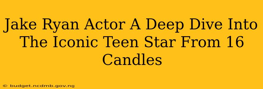 Jake Ryan Actor A Deep Dive Into The Iconic Teen Star From 16 Candles