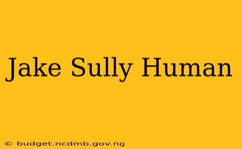 Jake Sully Human