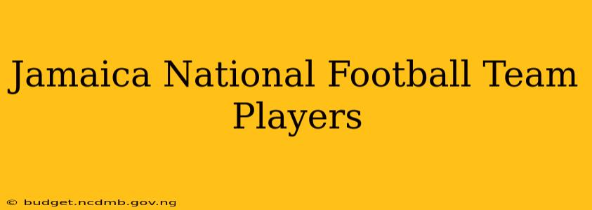 Jamaica National Football Team Players