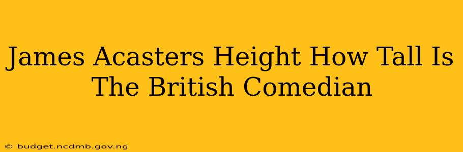 James Acasters Height How Tall Is The British Comedian