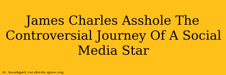 James Charles Asshole The Controversial Journey Of A Social Media Star